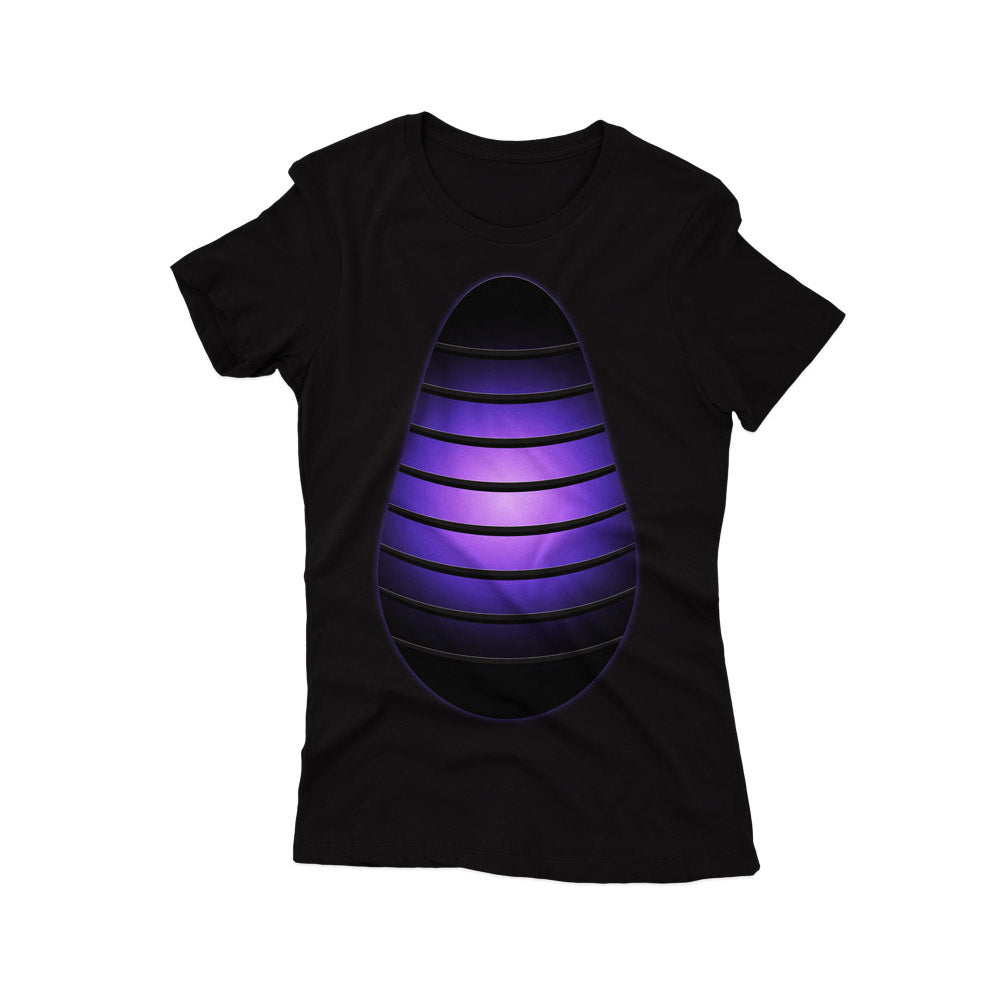 Dragon Inspired Family Costume T-Shirt for Theme Park Vacations